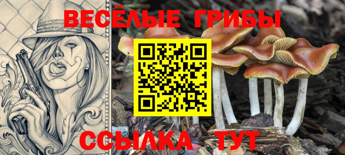 Белгород  Галлюциногенные грибы Magic Shrooms  как найти закладки  Вход с VPN 